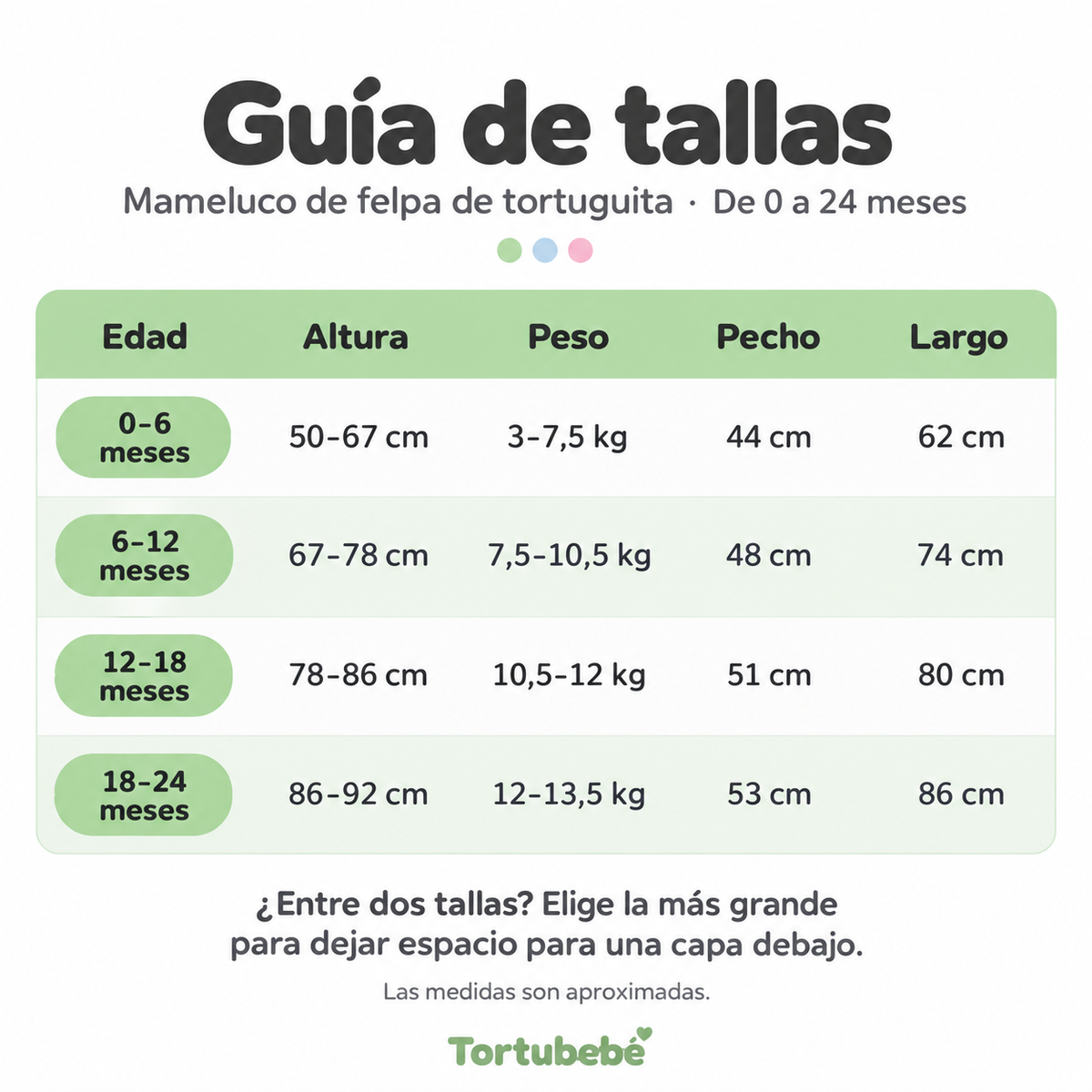 Enterito de Tortuga para bebes